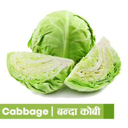 Cabbage-green