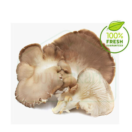 Mushroom-oyster-white 500 Gm