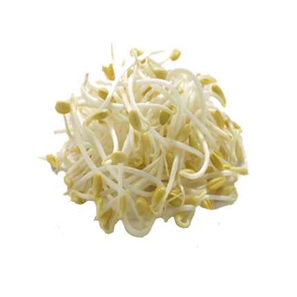 Bean Sprouts-lentil-black Urad(mas Ko)